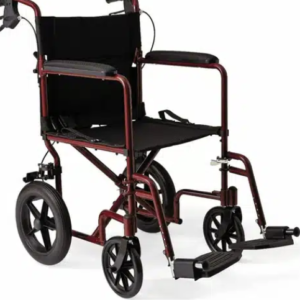 Transport Chair by motion care mobility